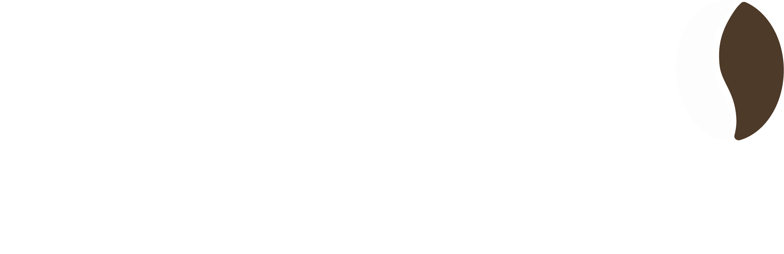 Monmoni Coffee Bar Logo in Weiß auf Schwarz mit braunem Kaffeebohne-Akzent rechts außen